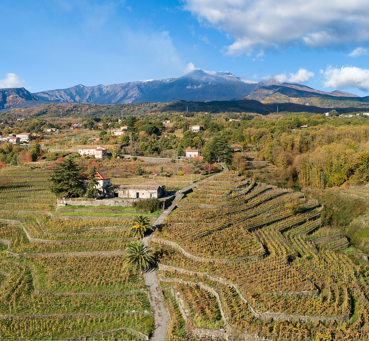 Cantina Maugeri