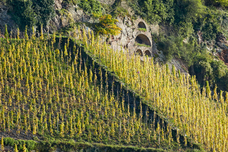 Weingut Vollenweider