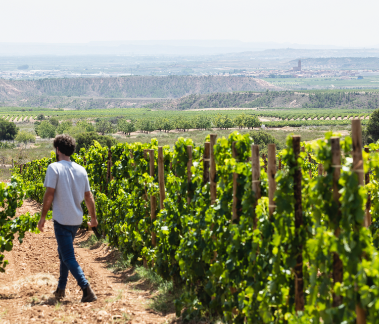 Vinos En Voz Baja